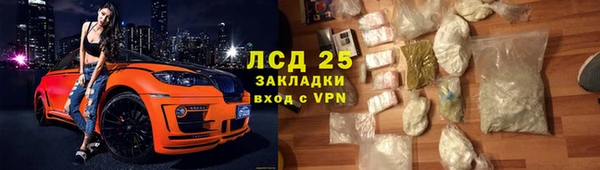 стаф Касимов