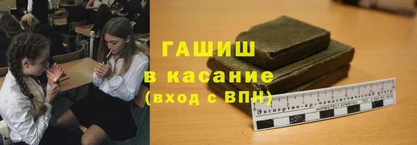 стаф Касимов