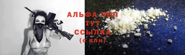 стаф Касимов