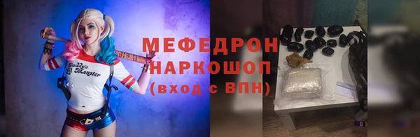 стаф Касимов