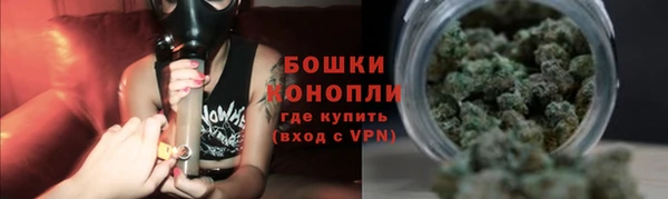 стаф Касимов