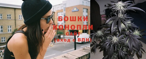 стаф Касимов