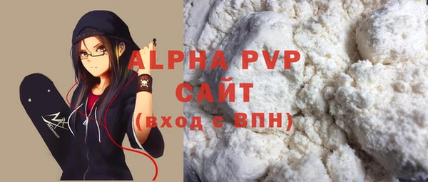 стаф Касимов